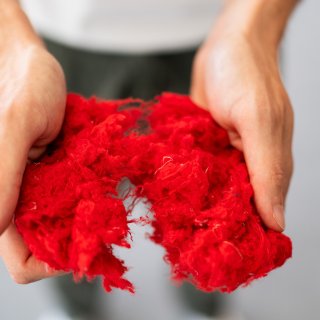 Rote Recyclingfasern aus Alttextilien für das Textilrecycling © 2026-kumpPhotography Zwei Hände halten rote aufbereitete Textilfasern. Saubermacher arbeitet an Recyclingwegen, bei denen geeignete Alttextilien wieder als Ausgangsmaterial für neue Textilien genutzt werden. © 2026-kumpPhotography