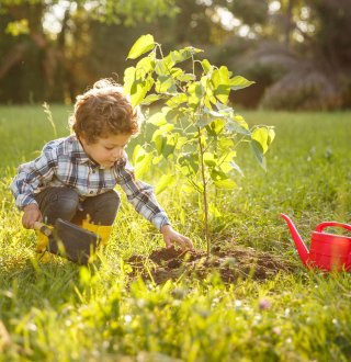 Förderungen fürs Bauen, Sanieren und Renovieren